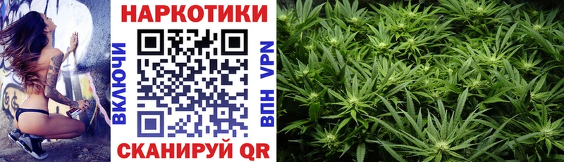 Где купить наркотики Никольск Псилоцибиновые грибы  Каннабис  Меф  ГАШ  COCAIN 