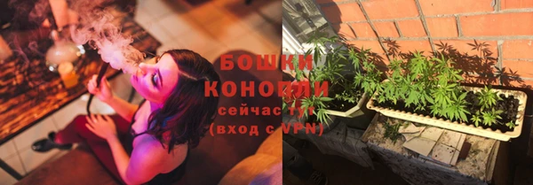 мяу мяу мука Михайлов
